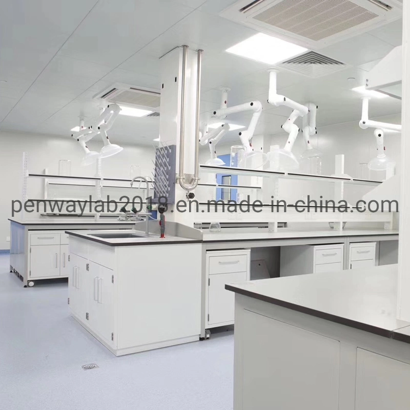 Steel Cabinet Science Lab Furniture Lab Table/ Phenolic Top (2500L*750Wmm) Black & Offwhite