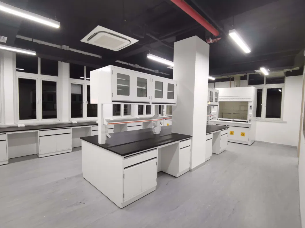 Laboratory Furniture Equipment for Fume Hood for Free Furniture Decoration Lab Design